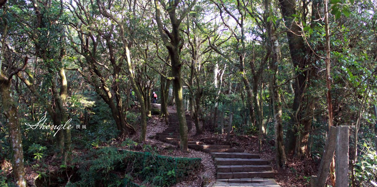 陽明山／苗圃登山步道－鳥瞰紗帽山基隆河淡水河，冰河時期遺留的雙扇蕨