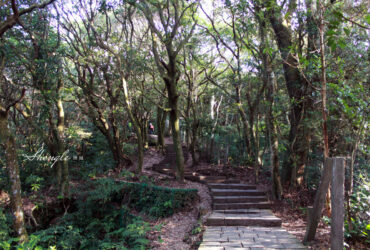 陽明山／苗圃登山步道－鳥瞰紗帽山基隆河淡水河，冰河時期遺留的雙扇蕨