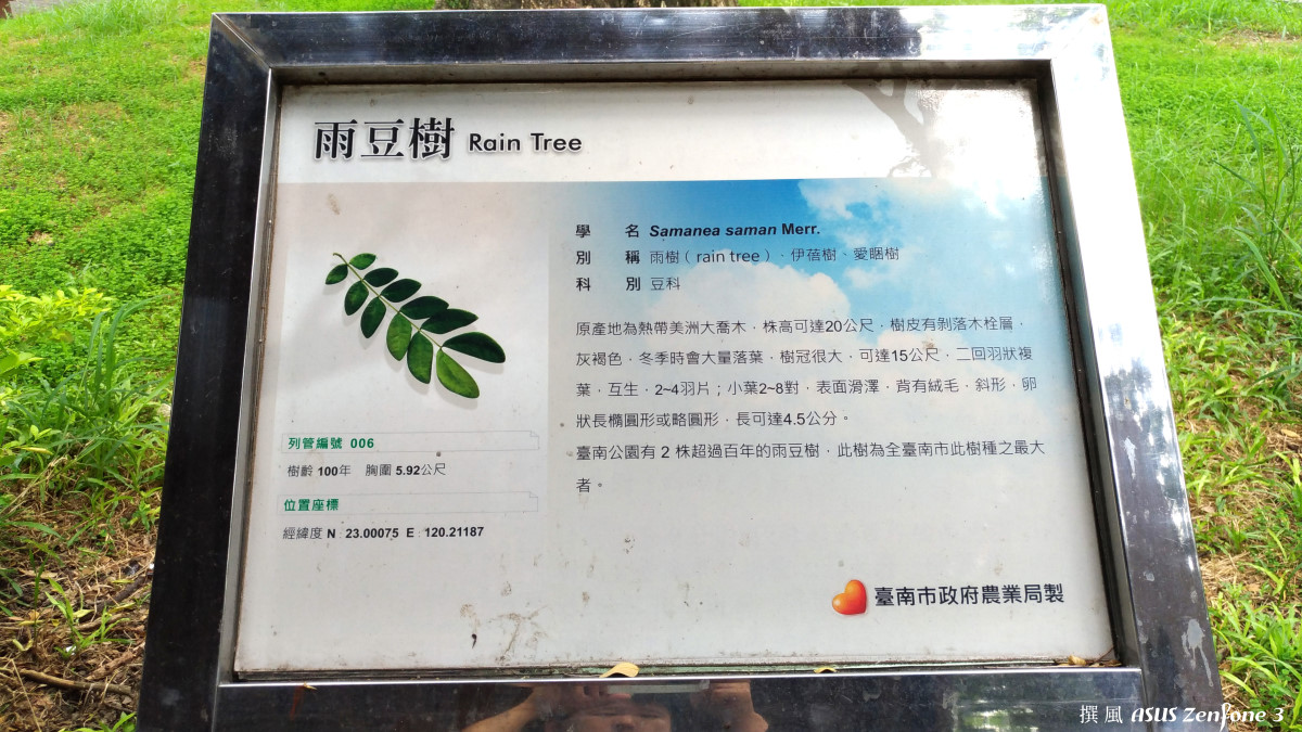 「台南公園」－百年大樹與悠悠歷史，庇蔭著夏日裡保留一絲悠閒與涼意