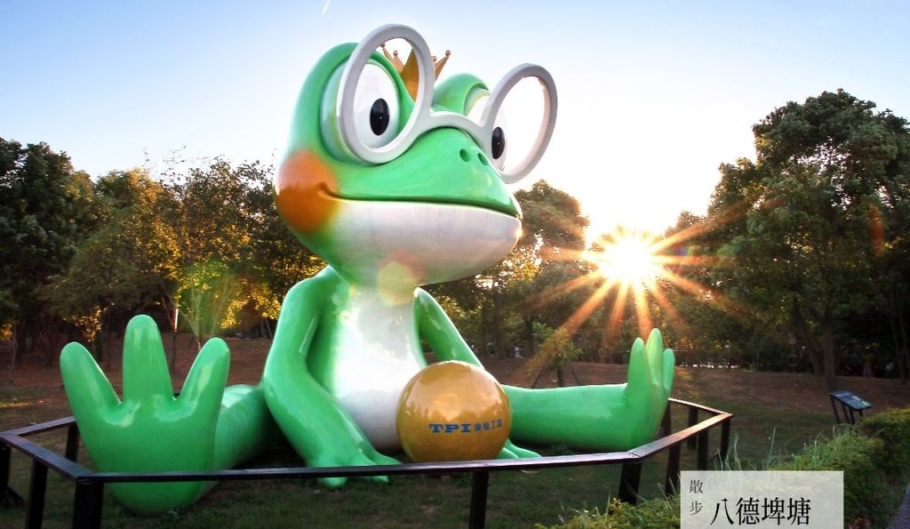 「八德埤塘自然生態公園」－彷彿置身亞馬遜森林一隅