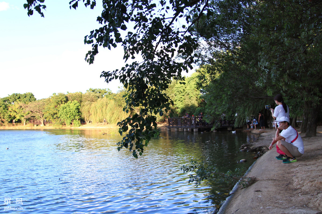 Bade Pond Eco Park