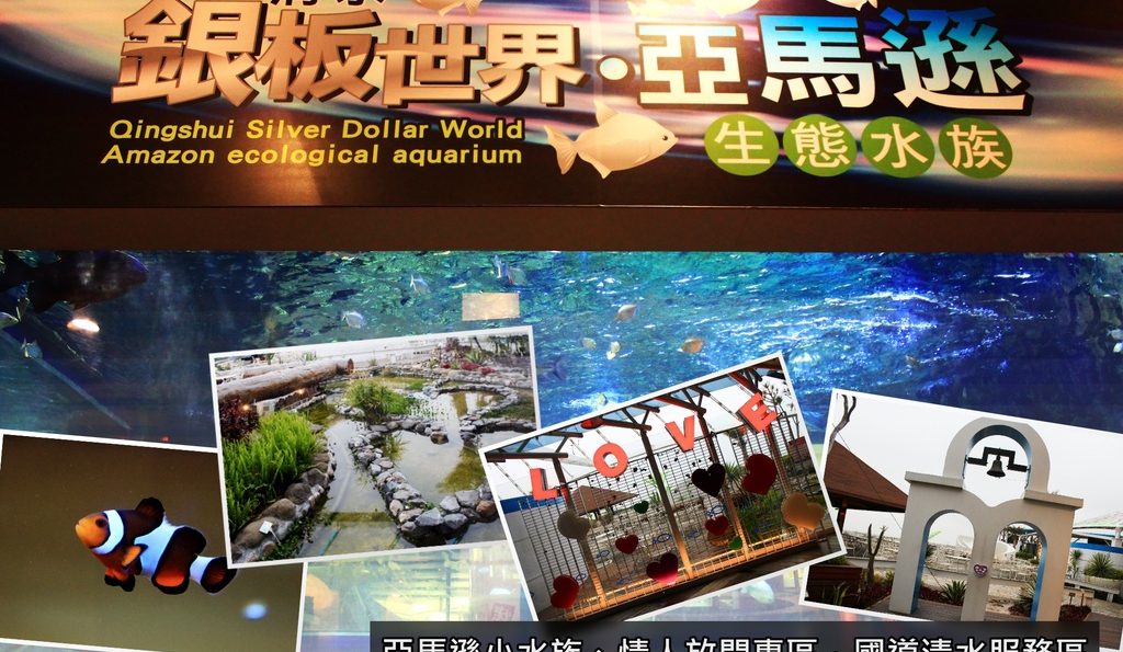 國道景點／國道清水服務區－亞馬遜小水族、情人放閃專區