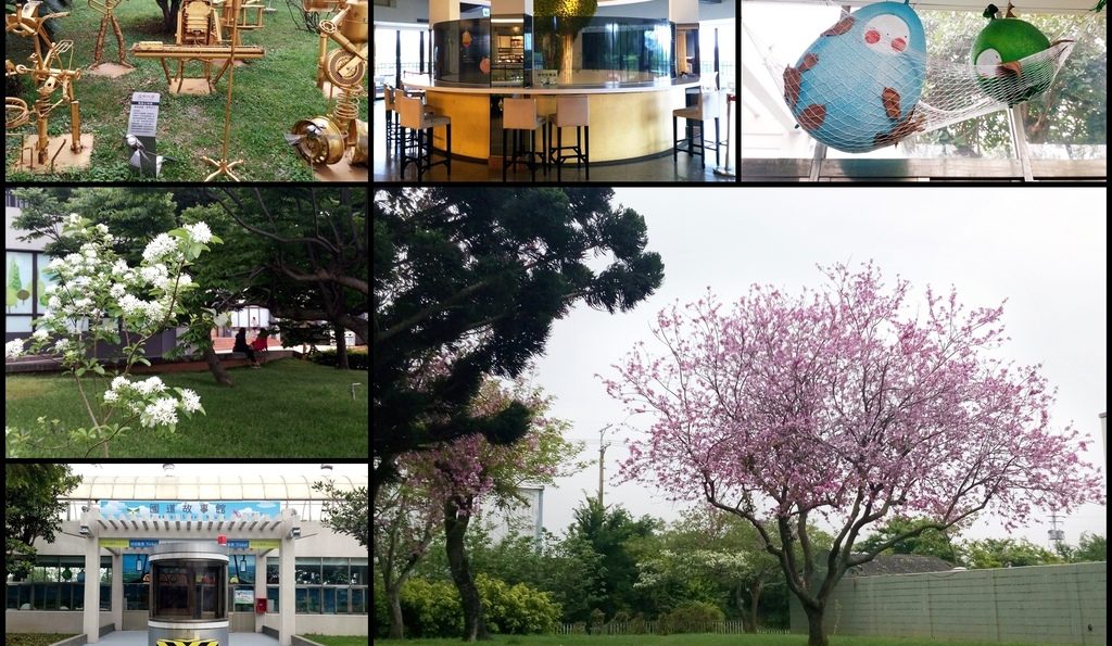 國道景點／泰安服務區(北站)－羊蹄甲的粉紅小爆炸