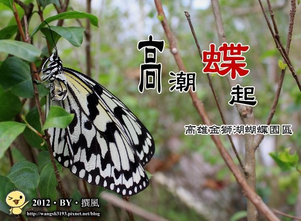 高雄景點／高雄金獅湖蝴蝶園區－高潮「蝶」起