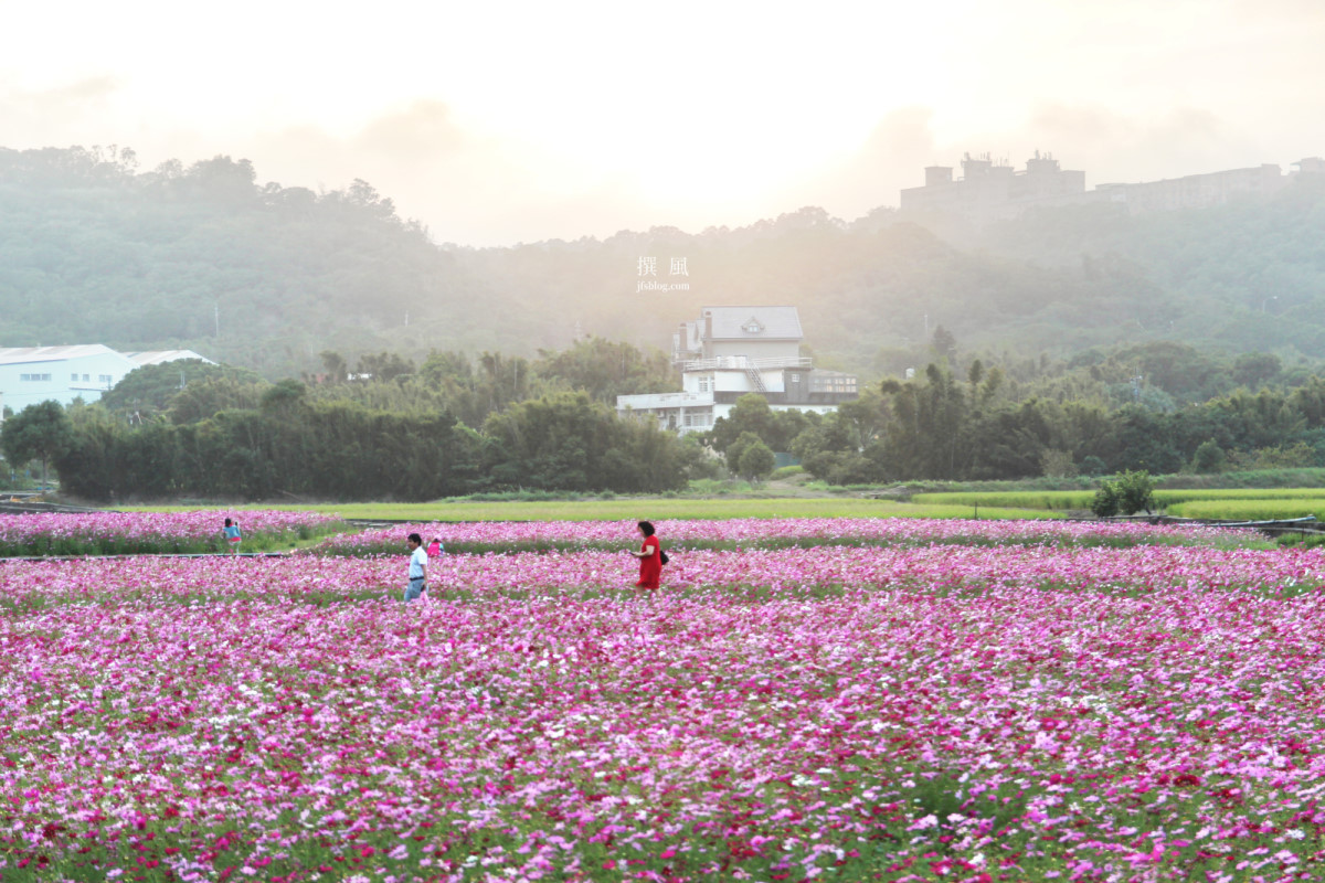 2017 Touyuan Flower Festival Longtan District