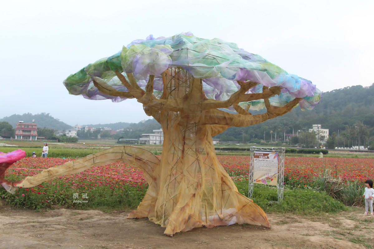 2017 Touyuan Flower Festival Longtan District