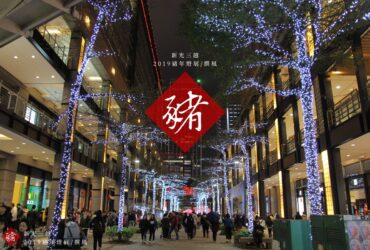 台北「2019新光三越豬年燈展」－點亮台北香堤大道