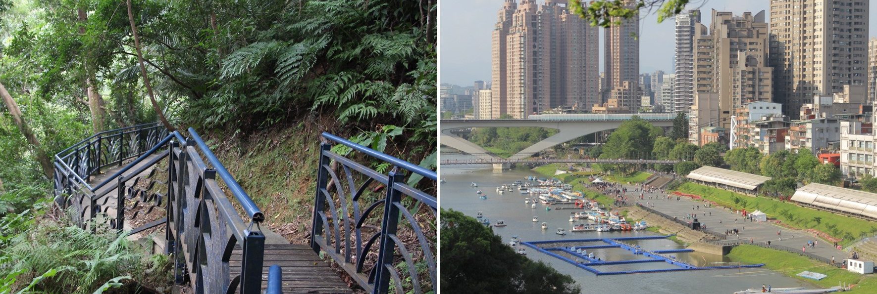 新北新店「和美山登山步道」碧潭小赤壁親子步道，4月螢火蟲、5月賞桐花