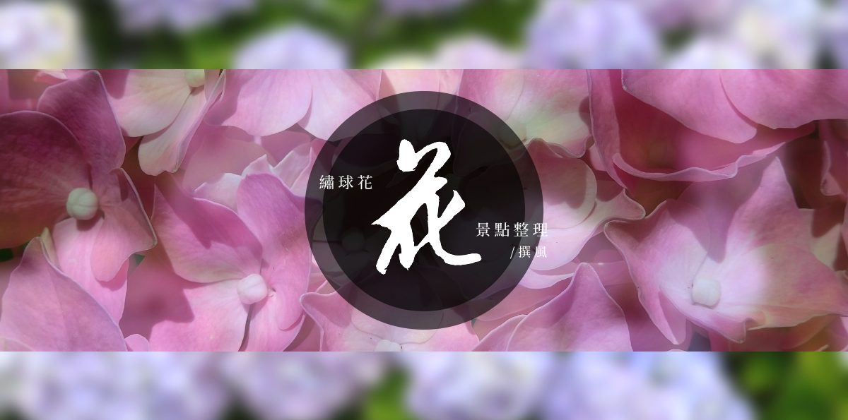 【繡球花景點懶人包】2020全台繡球花景點整理表格 13個繡球花賞花景點