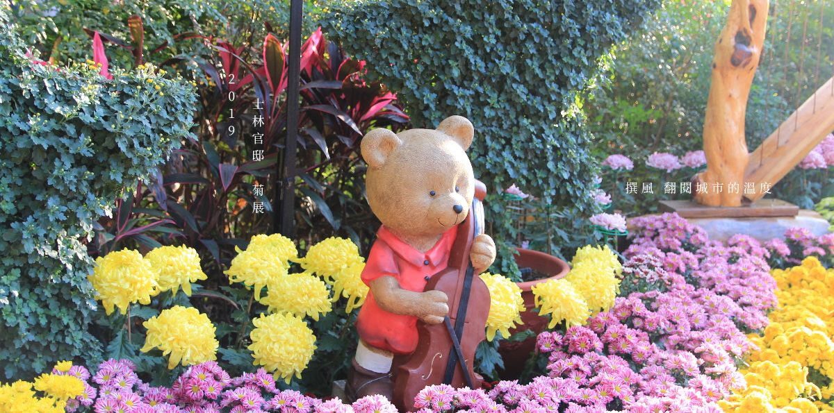 2019「士林官邸菊展」－五月天周杰倫的歌變成造景題目，樂在菊中艷麗盛開