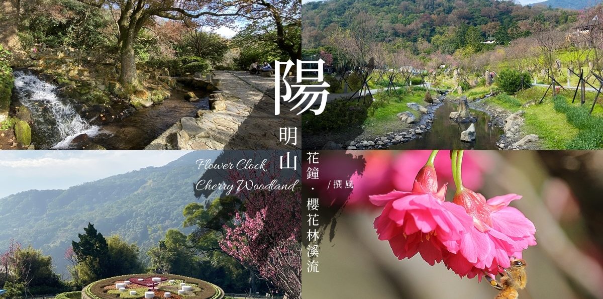 陽明山「陽明公園」－輕鬆賞櫻步道與花鐘陽明十景