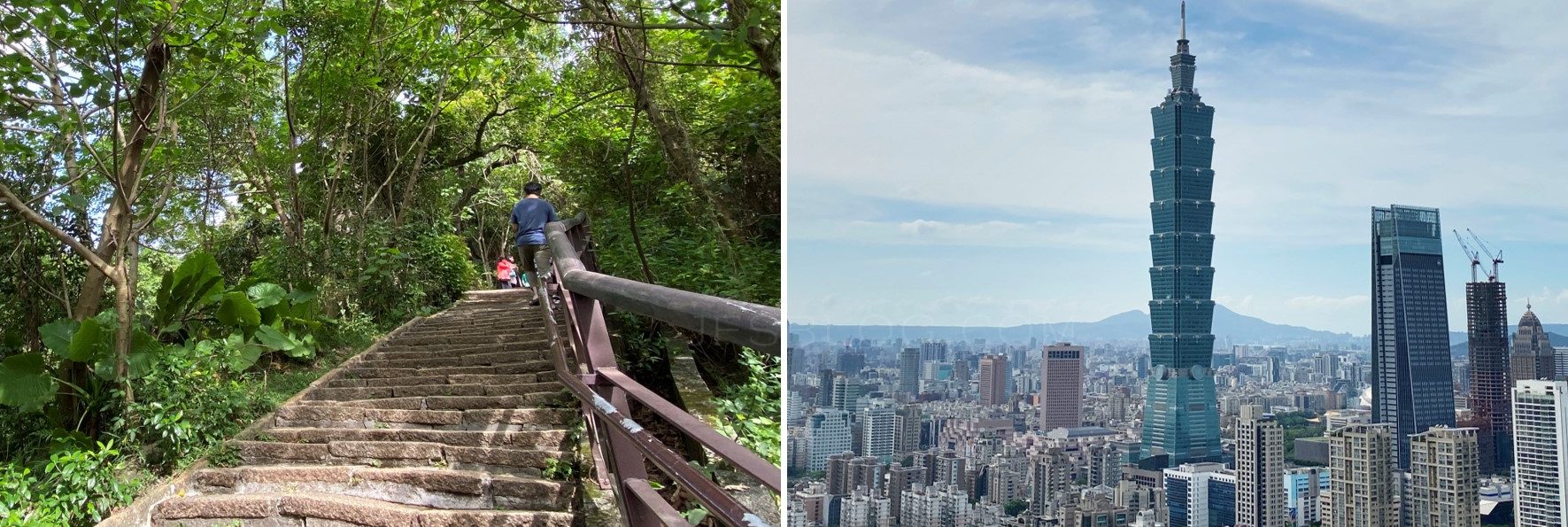 「象山親山步道」30分鐘的汗水，換得101的台北風光