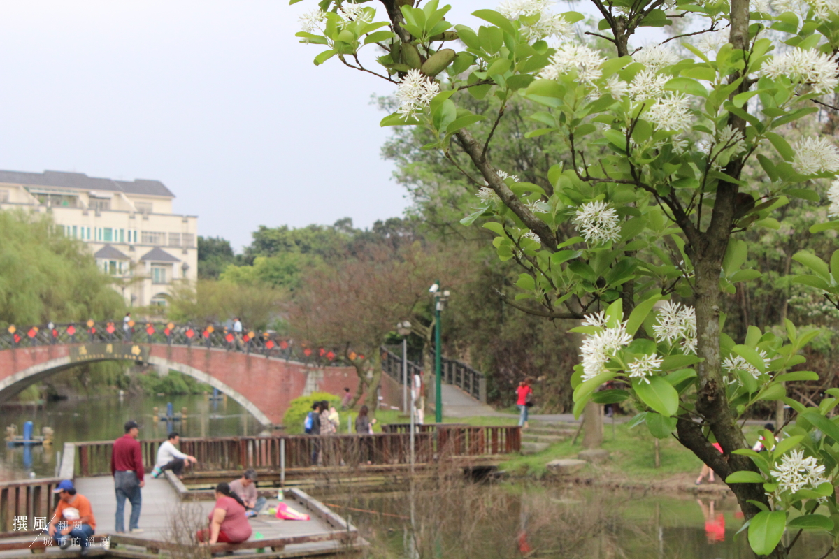 桃園「龍潭大池」怎麼玩？12個園區特色，水上步道廟宇與斜張吊橋燈光秀