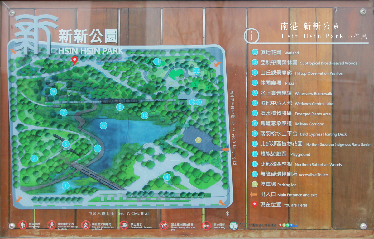 南港「新新公園」，台北親子生態公園，散心水上棧道和超嗨兒童滑繩盪鞦韆