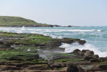 新北石門「2024老梅綠石槽」北海岸珍貴綠藻岩！風稜石風景區一日遊提案