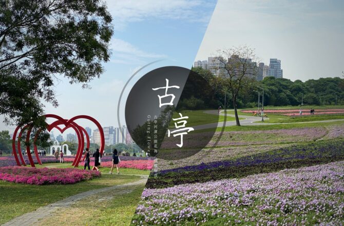 「古亭河濱公園」這不是國外！搭捷運就能賞大片紫色花海