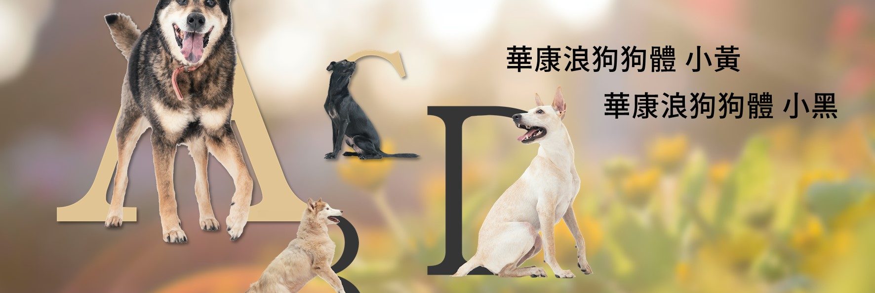 字型／華康浪狗狗體－可愛浪浪變成字型開放下載啦！