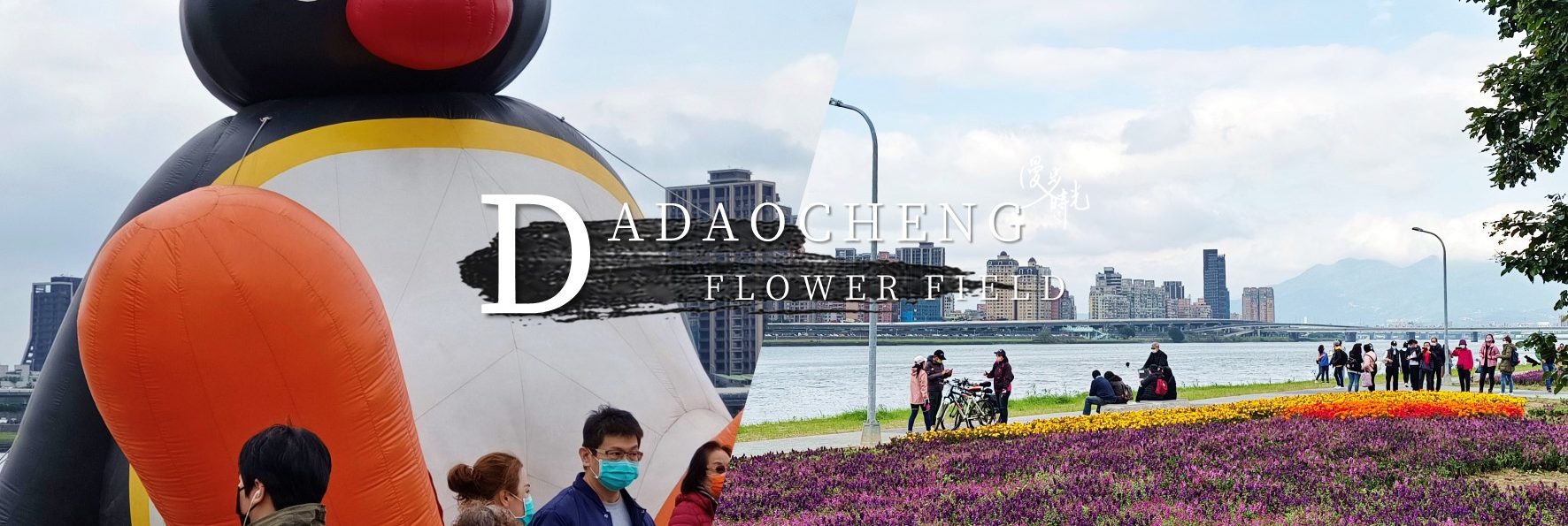 「大稻埕延平河濱花海」，河邊散步的美麗花季
