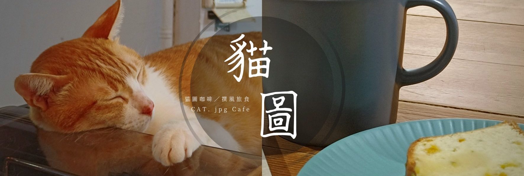 「貓圖咖啡」師大靜謐巷弄裡的獨立咖啡廳，看書閱讀聽橘貓打呼嚕