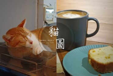 「貓圖咖啡」師大靜謐巷弄裡的獨立咖啡廳，看書閱讀聽橘貓打呼嚕