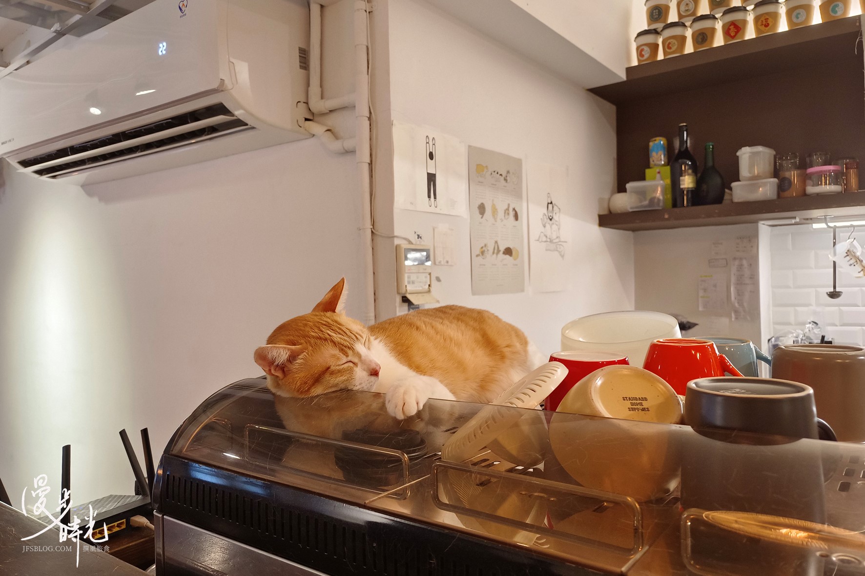 店貓在咖啡機上睡覺