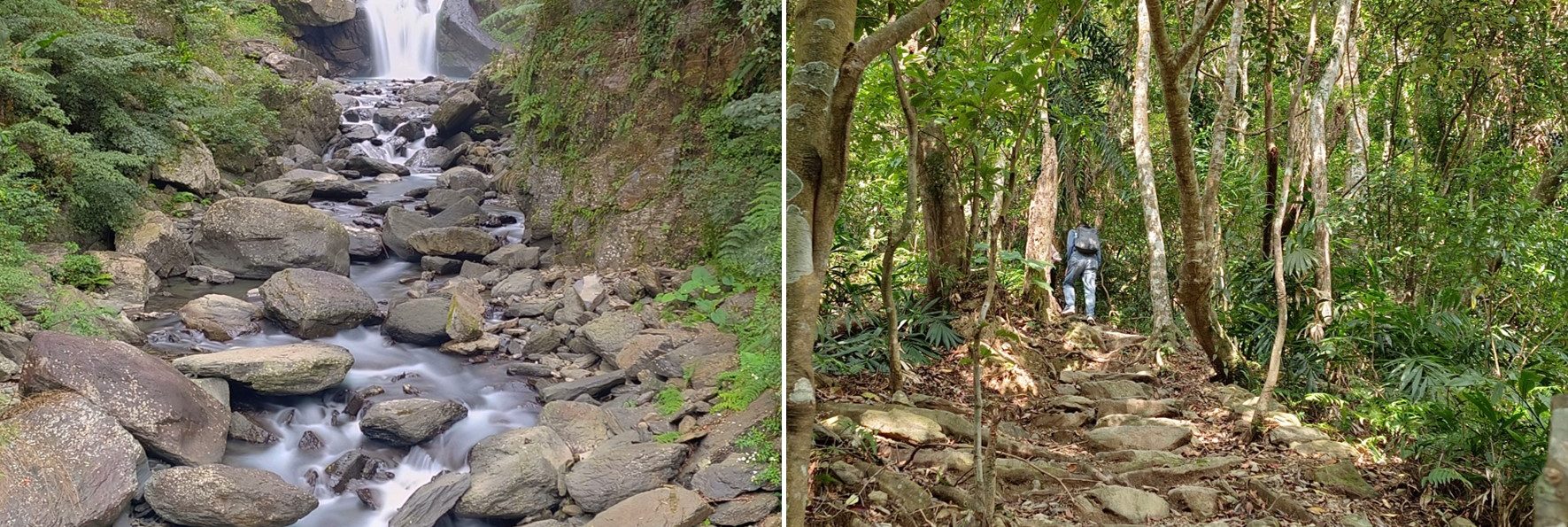 「內洞國家森林遊樂區」壯闊內洞瀑布！輕鬆溪岸散步與流汗森林浴步道