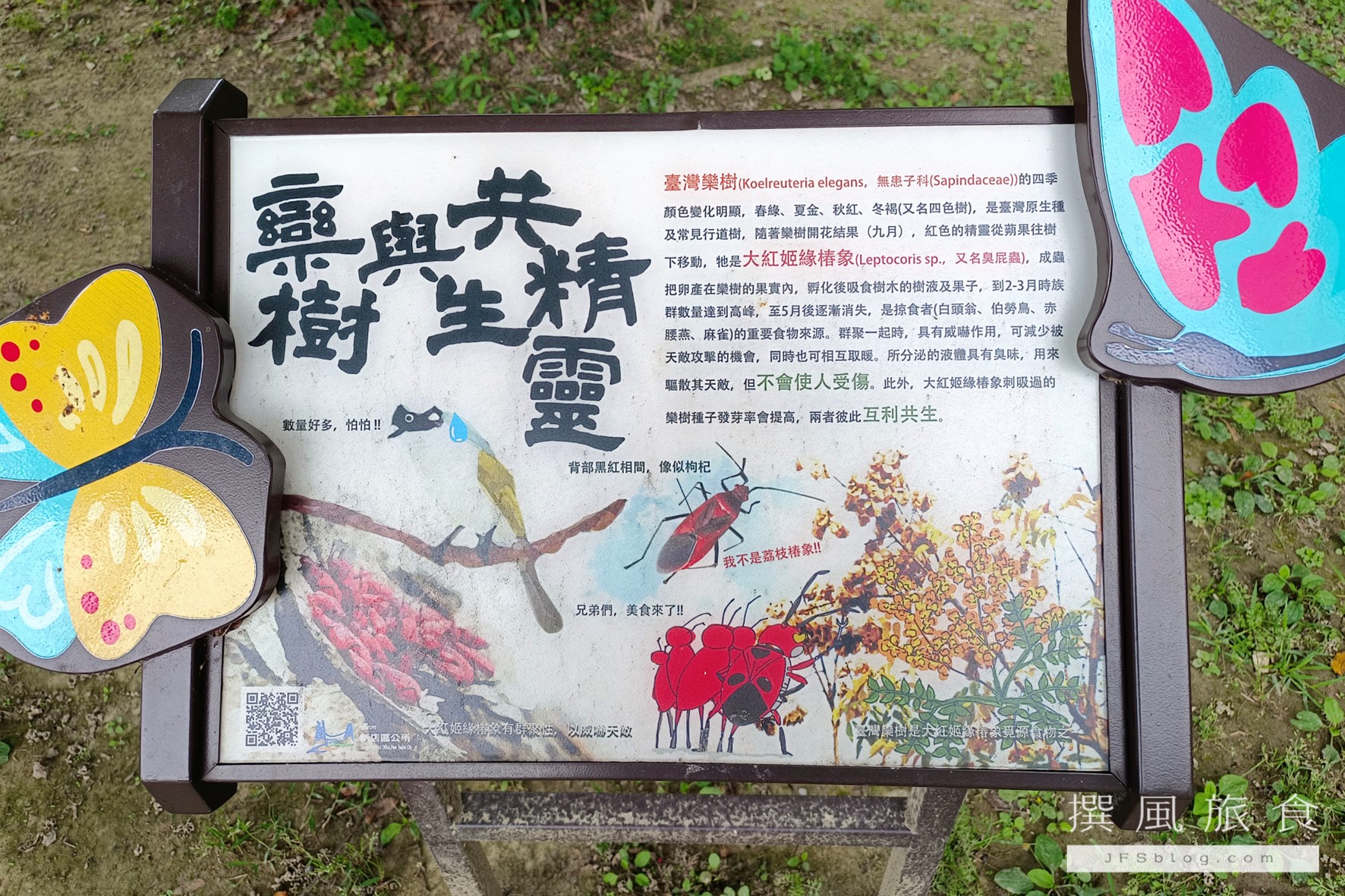 大紅姬緣椿象是生態系重要的昆蟲