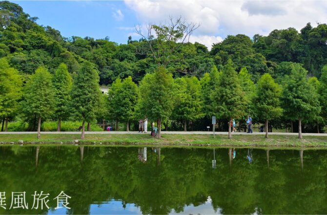 大溪「月眉人工濕地」整排落羽松湖面鏡像！30分鐘輕鬆池畔漫步