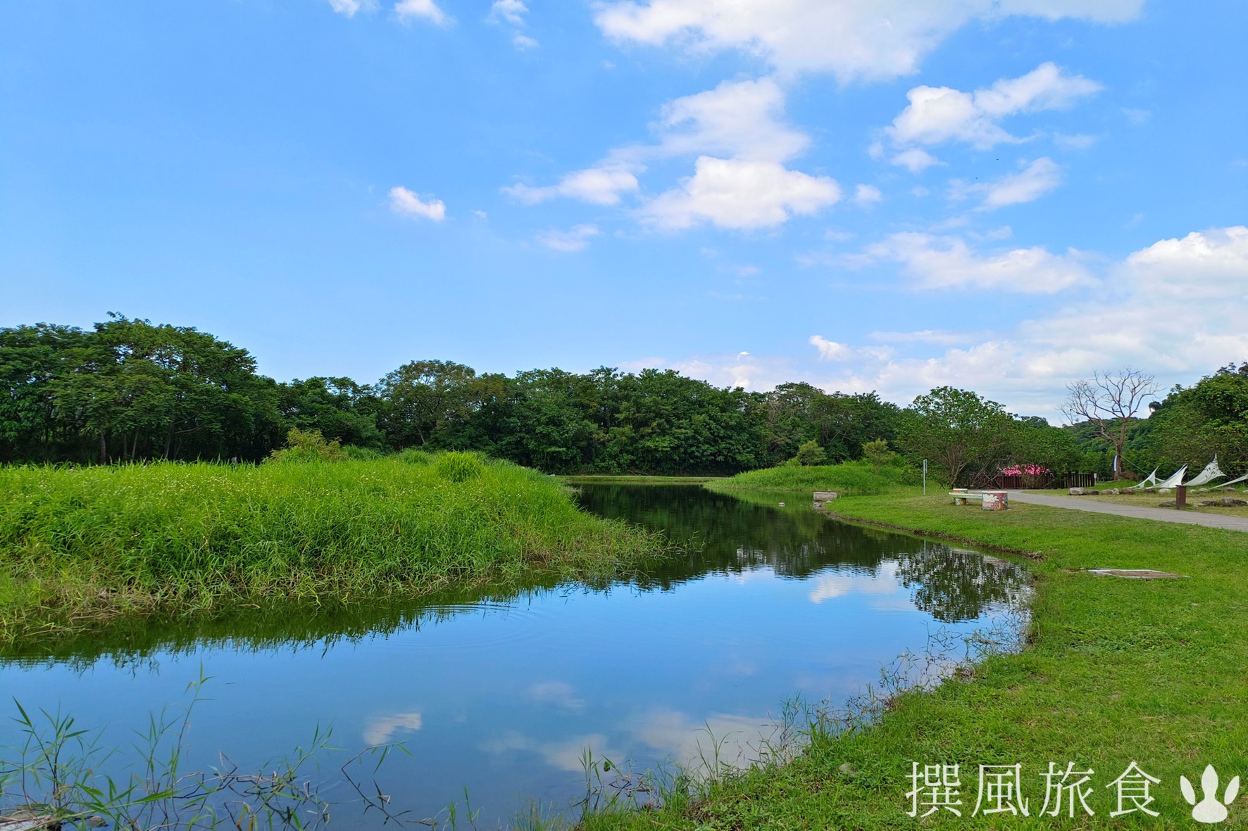 大溪「月眉人工濕地」整排落羽松湖面鏡像！30分鐘輕鬆池畔漫步