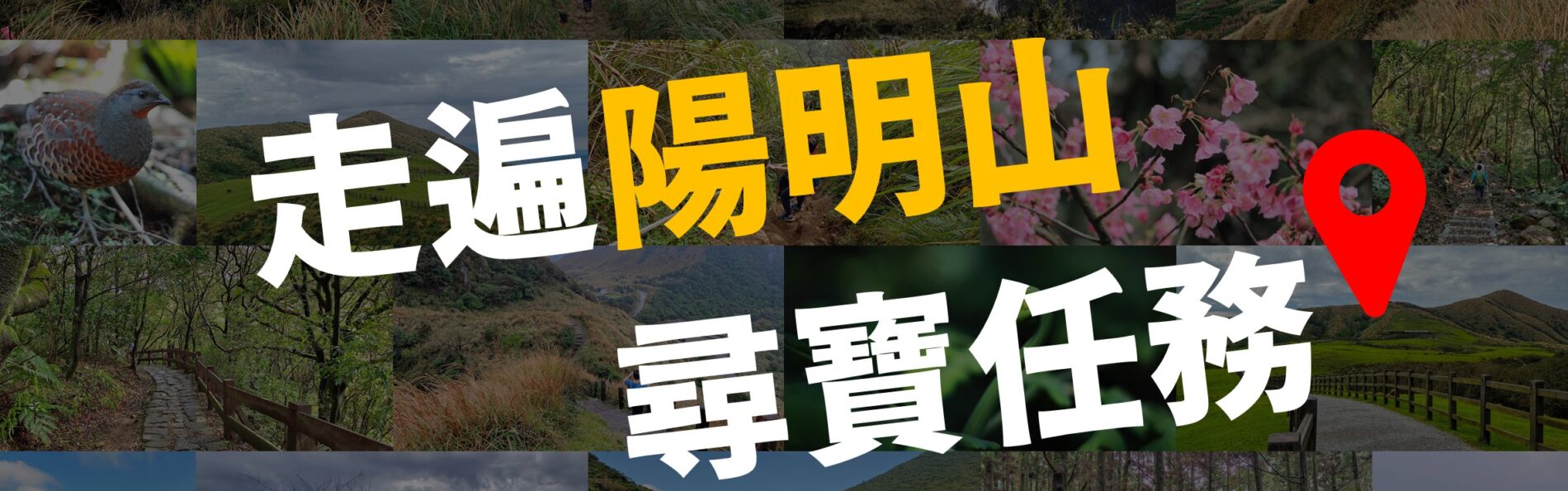 「走遍陽明山尋寶任務」詳細整理：3大山系20條步道、健行筆記教學、活動攻略、路線GPX、公車交通