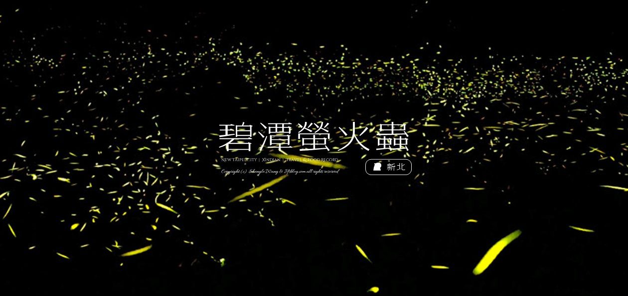 [新北遊記] 2024和美山螢火蟲季 | 捷運出站10分鐘！復育10年螢況爆發（防漏光手機拍攝紙盒DIY）
