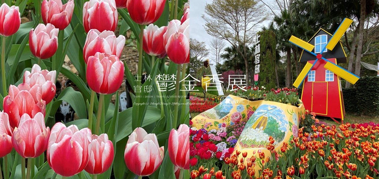 【2024士林官邸鬱金香展】14萬株花海綻放！捷運賞花行程