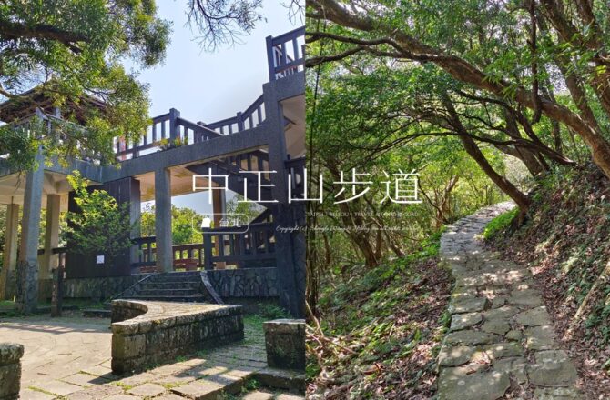 陽明山「中正山親山步道」15分鐘登頂！3大看點：春季墨染櫻、眺望北投觀景台、百年歷史木炭窯