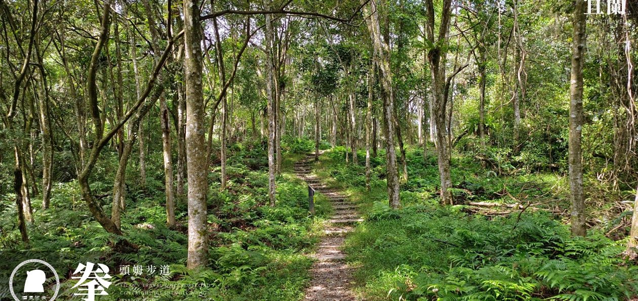 【拳頭姆自然步道】1小時平緩郊山步道，綠意盎然的烏心石林地、遠眺蘭陽溪