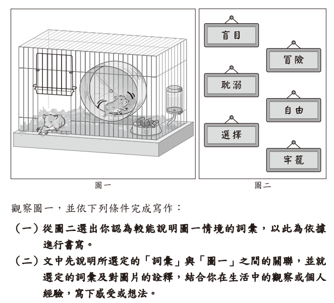 114年國中會考作文題「兩隻倉鼠」 足見出題者活在象牙塔的浪漫與無知